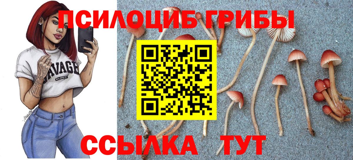 наркотики  Вход с VPN  Коммунар  Псилоцибиновые грибы GOLDEN TEACHER 